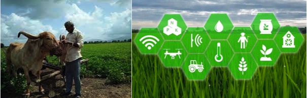 The agri-tech network effect is impacting one smallholder farmer at a time - Dairy News 7X7