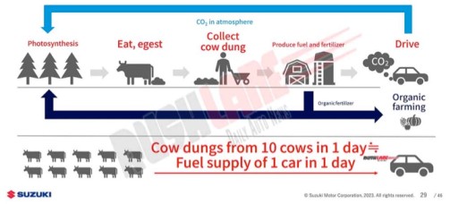 Suzuki to use cow dung for its CNG cars, signs MoU with NDDB - Dairy News 7X7