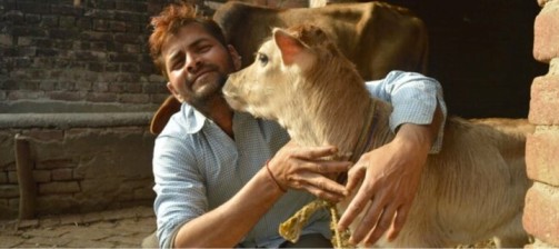 Celebrate February 14 as ‘Cow Hug Day’: Animal Welfare Board - Dairy News 7X7