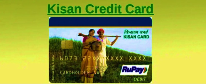 DAIRY NEWS 1 lakh farmers in Haryana to get Pashu Kisan Credit Card by the month end - Dairy News 7X7