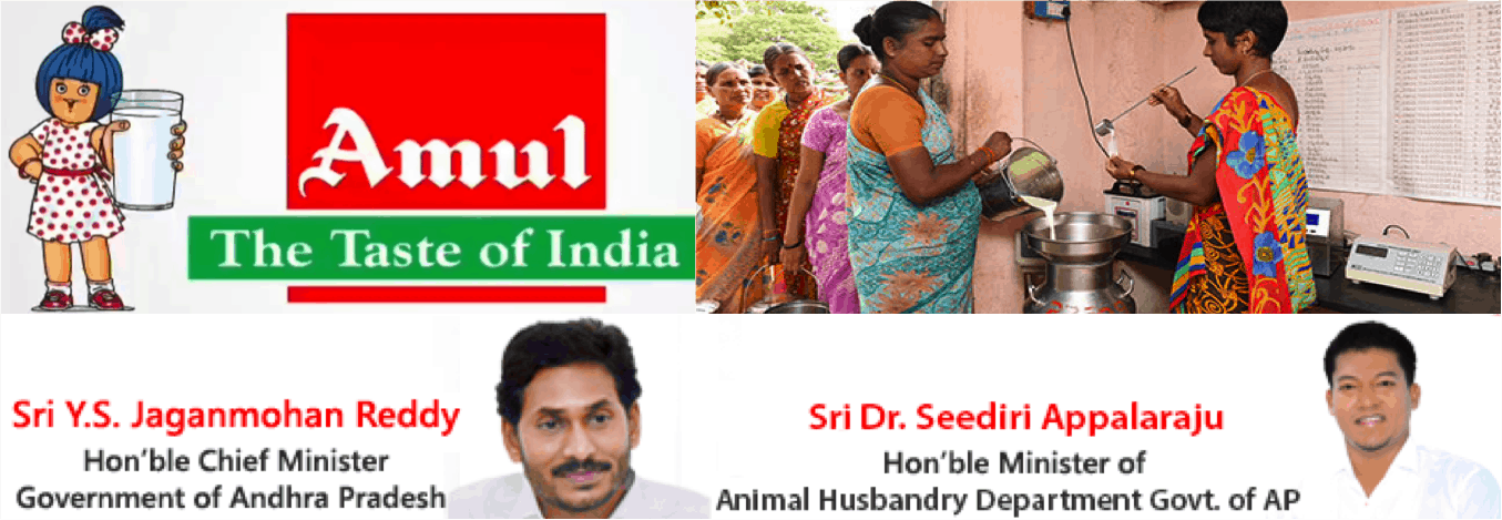 Amul will begin milk procurement in Andhra Pradesh from Nov 20 - Dairy News 7X7