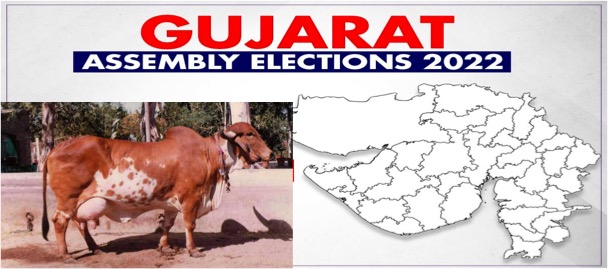 Gujarat polls: Dairymen hold the key to electoral success for parties - Dairy News 7X7