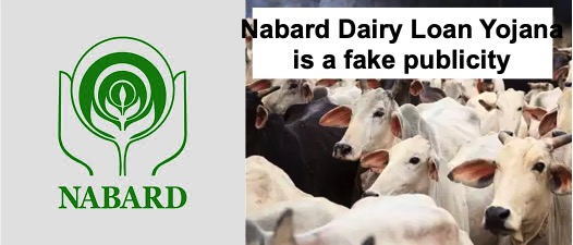 nabard dairy loan yojana is fake dairynews7x7