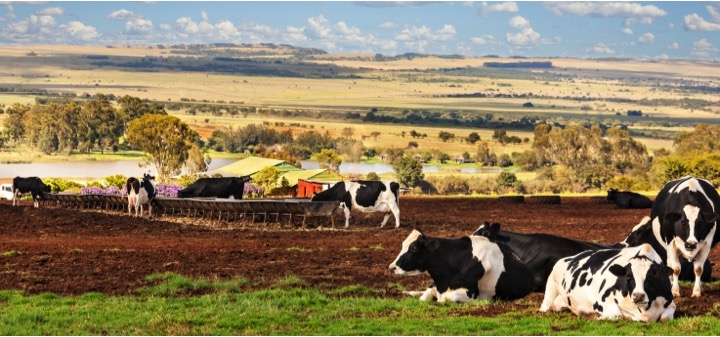 Preserving Dairy Sector under Climate Change - Dairy News 7X7