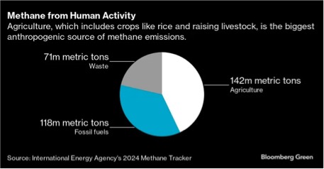 drug will reduce cattle methane emission dairynews7x7
