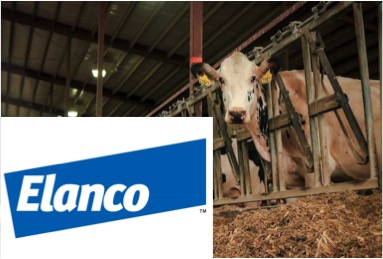 elanco methane reducing feed dairynews7x7