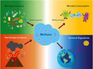 microbes for more methane emission dairynews7x7