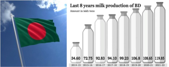 milk production in bangladesh dairynews7x7