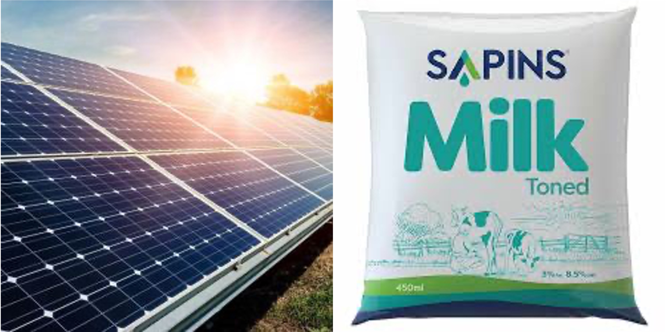 solar powered sapins milk dairynews7x7