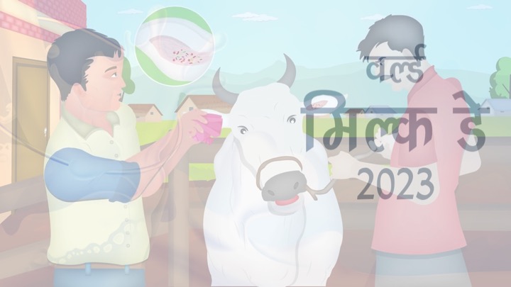 world milk day India dairy development dairynews7x7