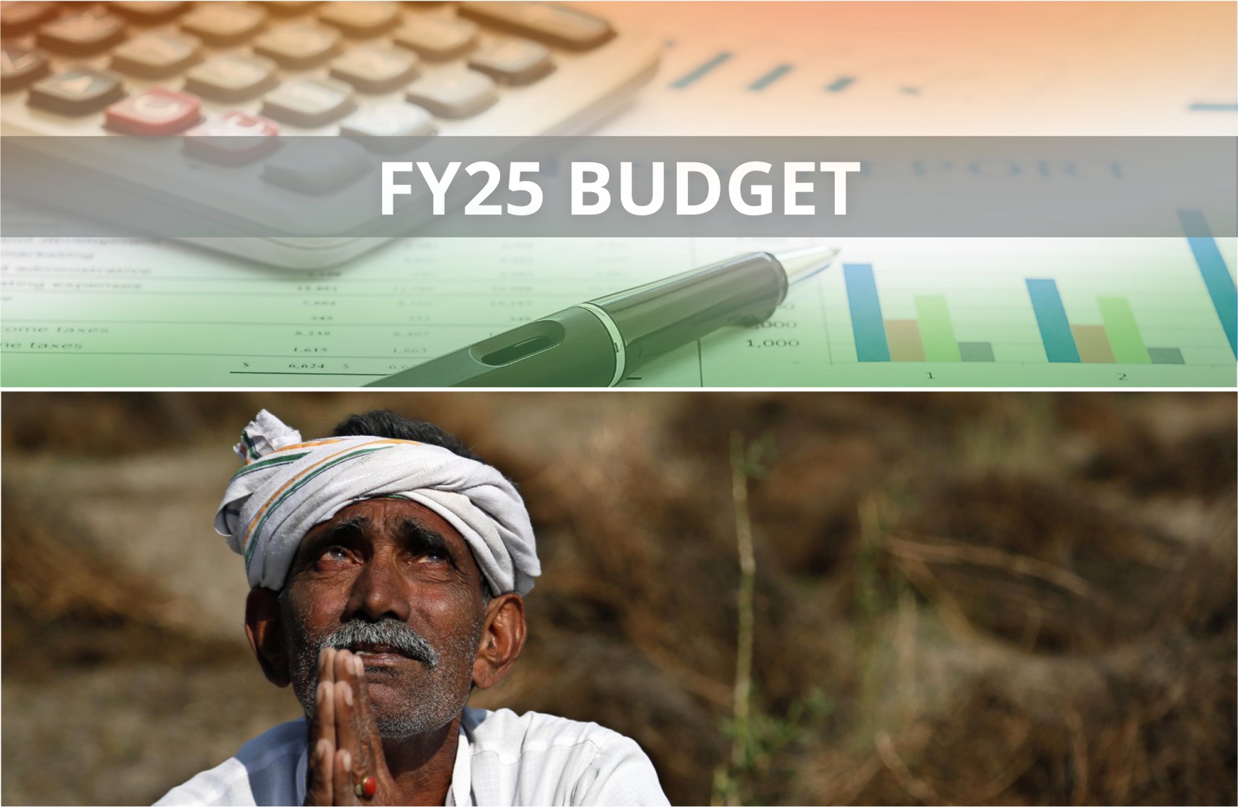 Dairy Industry Expectations from budget 2025 dairynews7x7