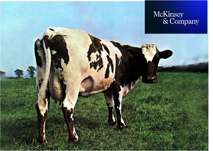 Mckinsey dairy sector sustainability challenge dairynews7x7