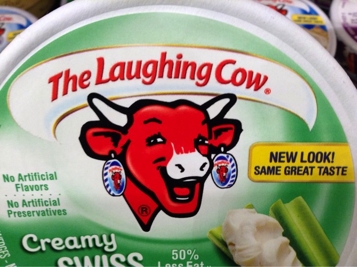 Britannia Bel laughing cow cheese plant dairynews7x7