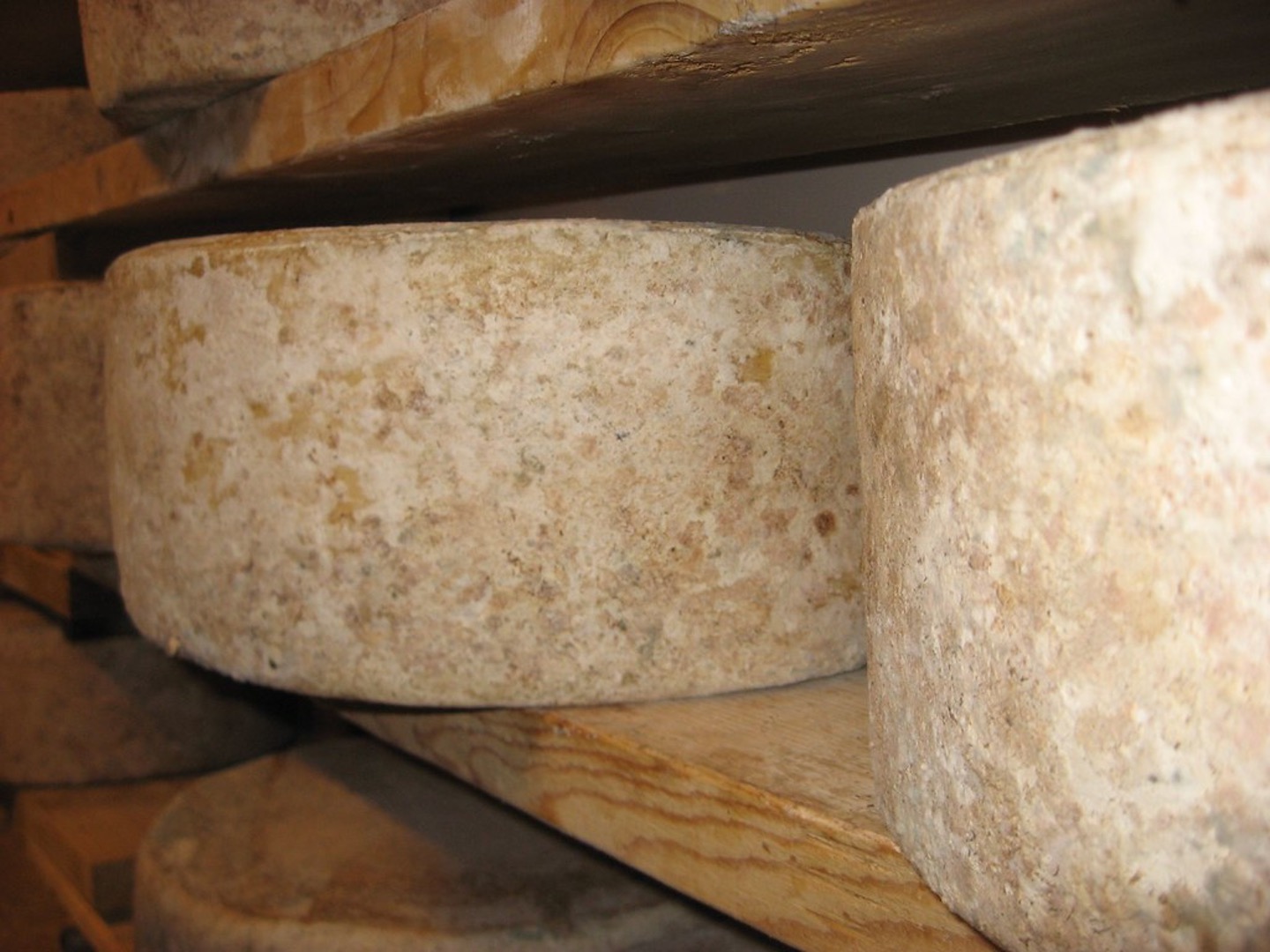 Thieves steal cheddar cheese dairynews7x7