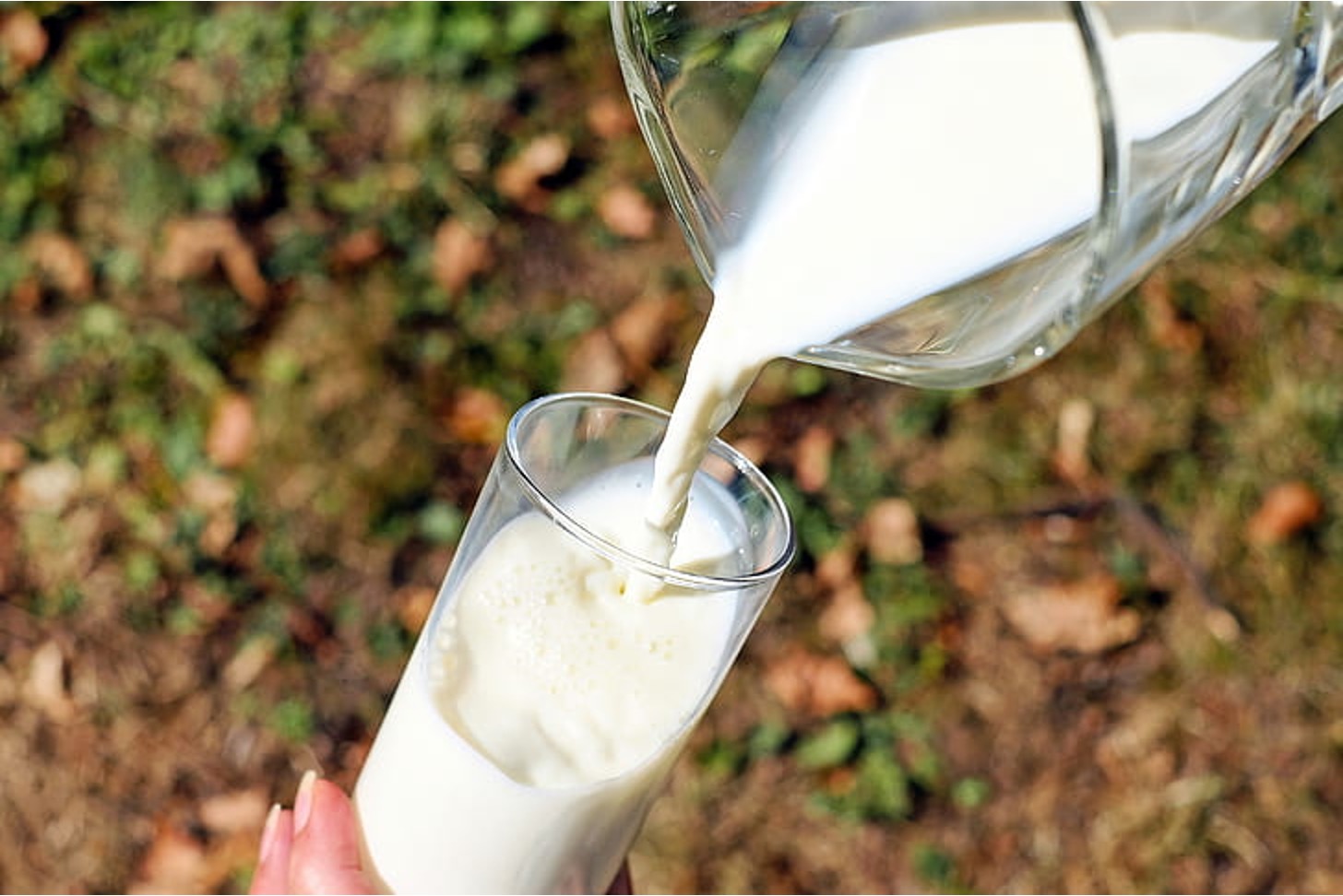 fssai clean milk production dairynews7x7