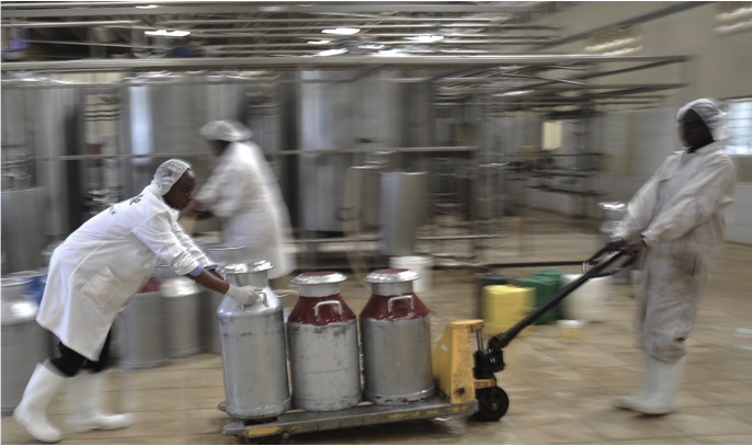 Indian dairy industry to see 13-14% revenue growth