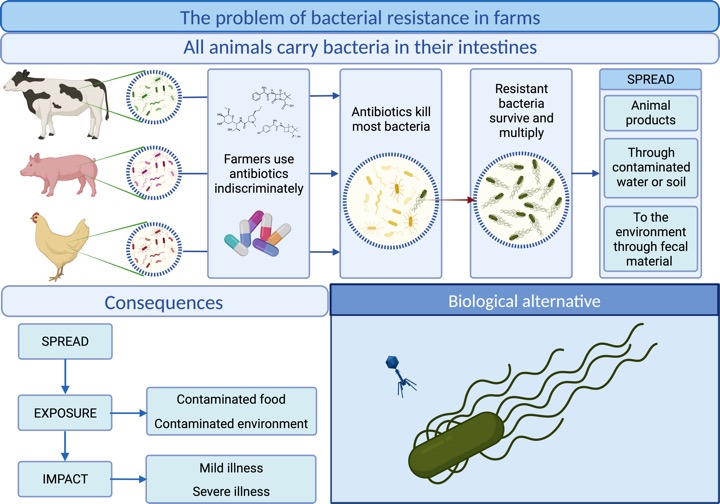 Ban on antibiotics food products fssai dairynews7x7