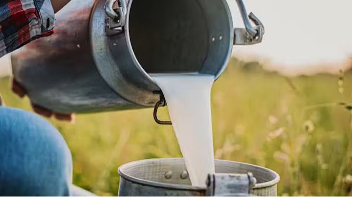 milk price increase pakistan dairynews7x7