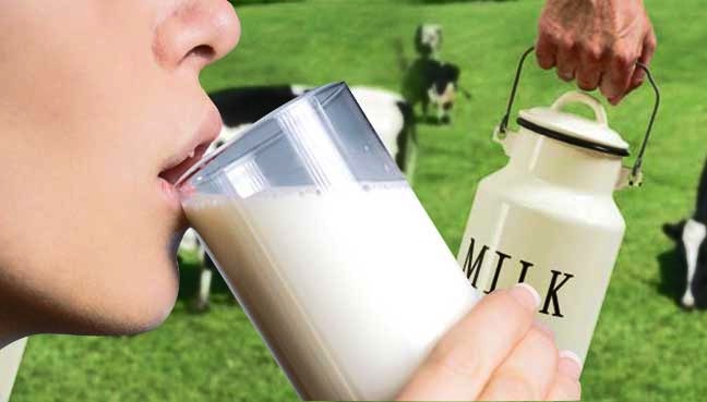 milk production down India dairynews7x7