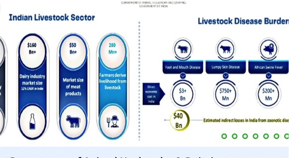 dahd dairy snapshot 2024 dairynews7x7