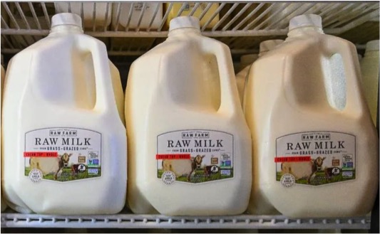 is raw milk safe dairynews7x7