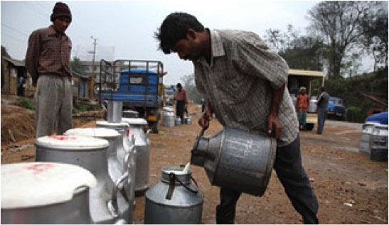 milk demand indore surges winter dairynews7x7